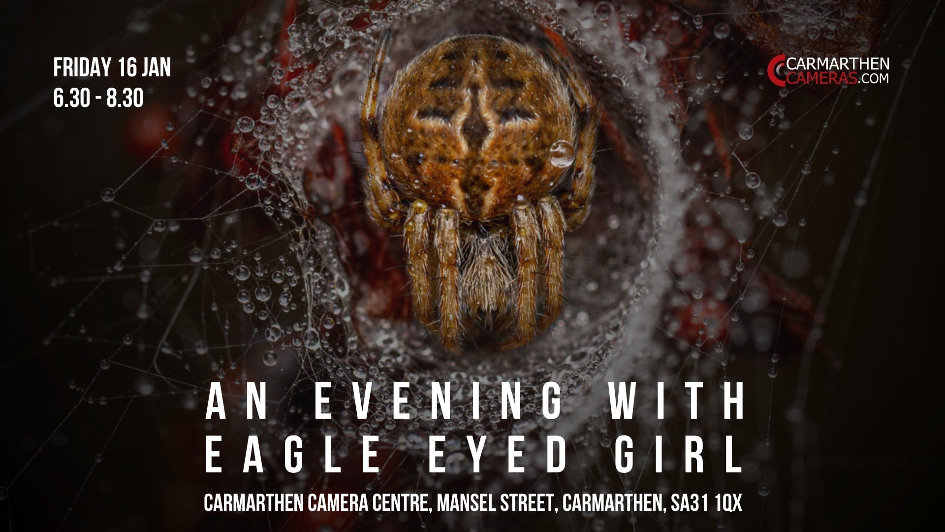 An Evening with Jamie 'Eagle Eyed Girl' - Macro Photography - My Life So Far