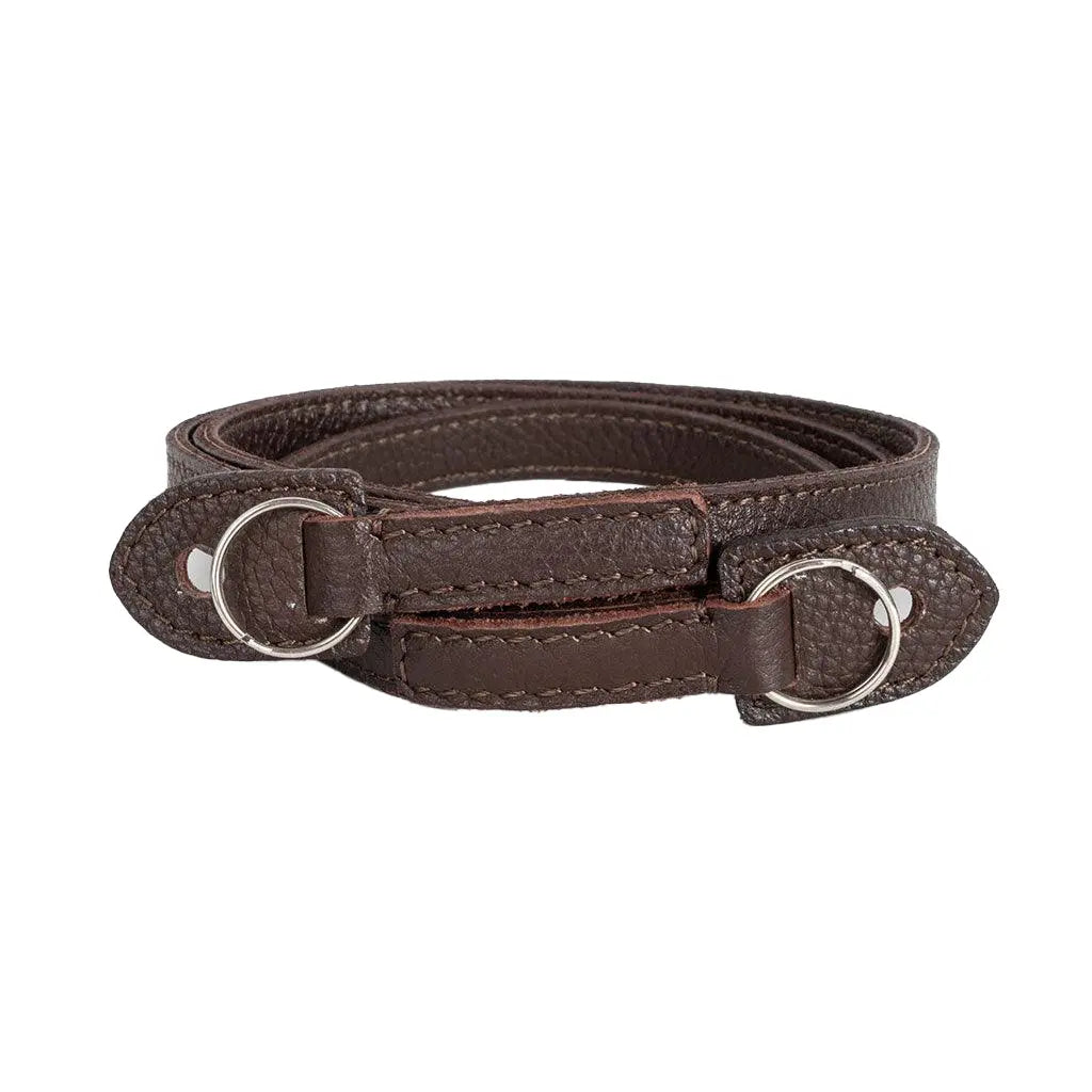 Brown leather dog collar with silver rings on a white background