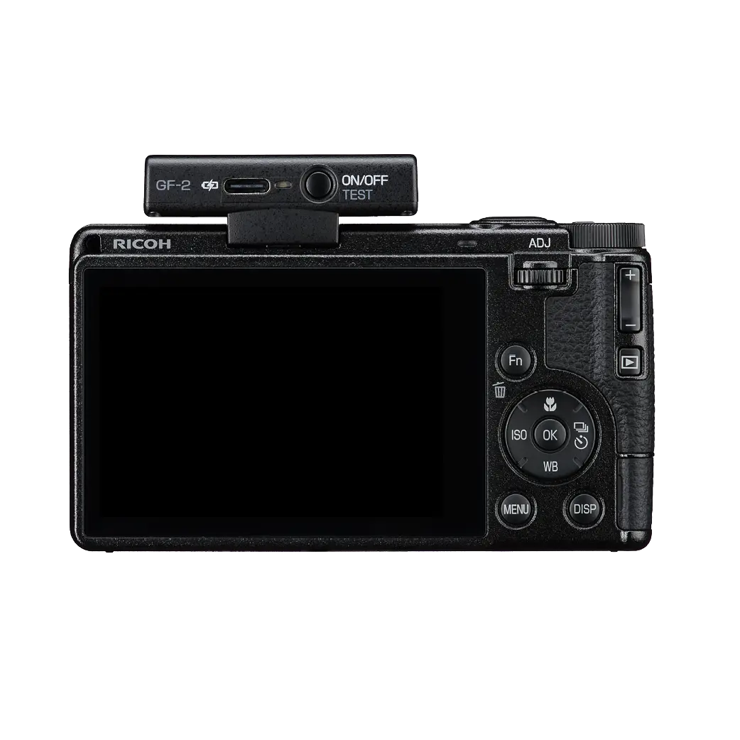 Ricoh GF-2 Flash