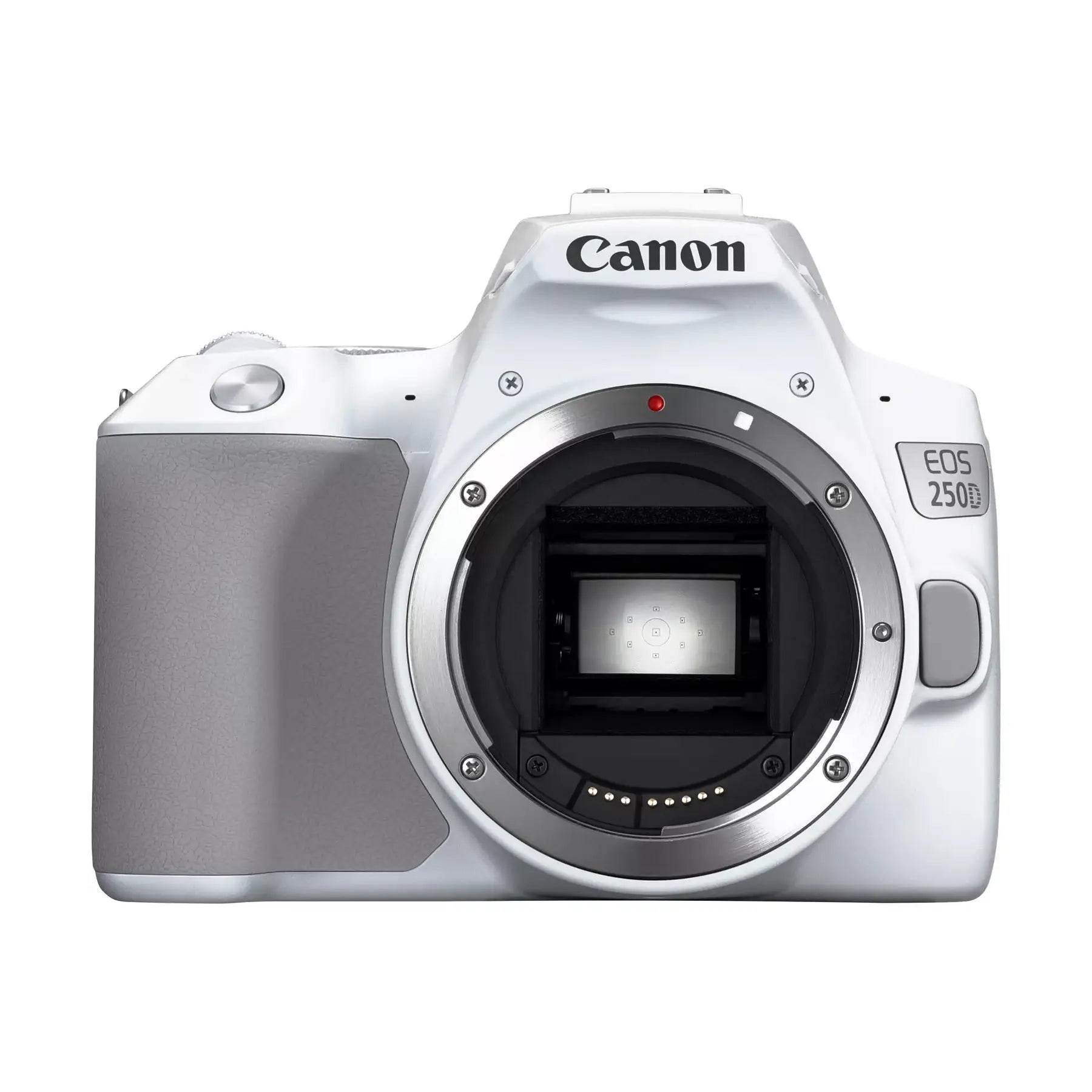 Canon EOS 250D Digital SLR Camera with 18-55mm IS STM Lens