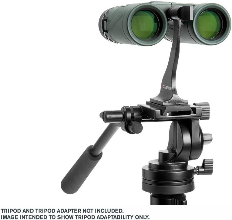 Celestron DX Nature Binocular - Green