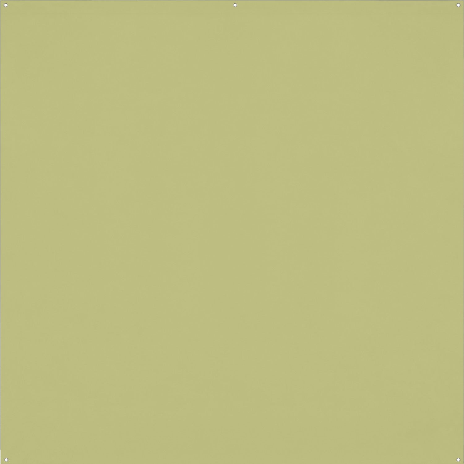 Westcott X-Drop Pro Wrinkle-Resistant Backdrop - (8' x 8')