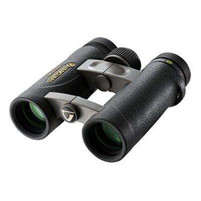 Vanguard Endeavor ED 8x32 Binoculars 8320