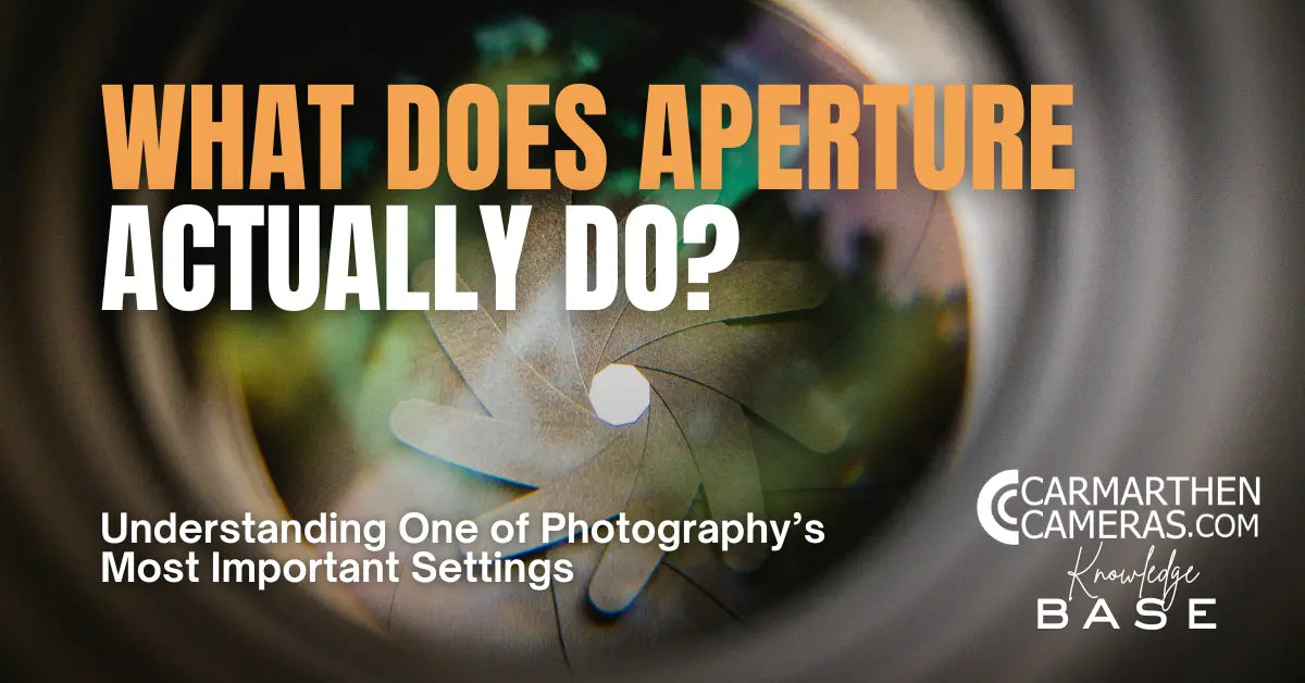 What Does Aperture Actually Do? Understanding One of Photography’s Most Important Settings