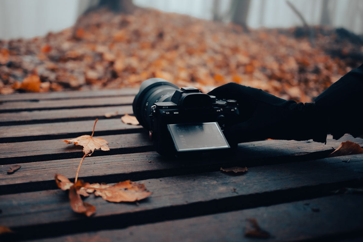 Mirrorless Cameras