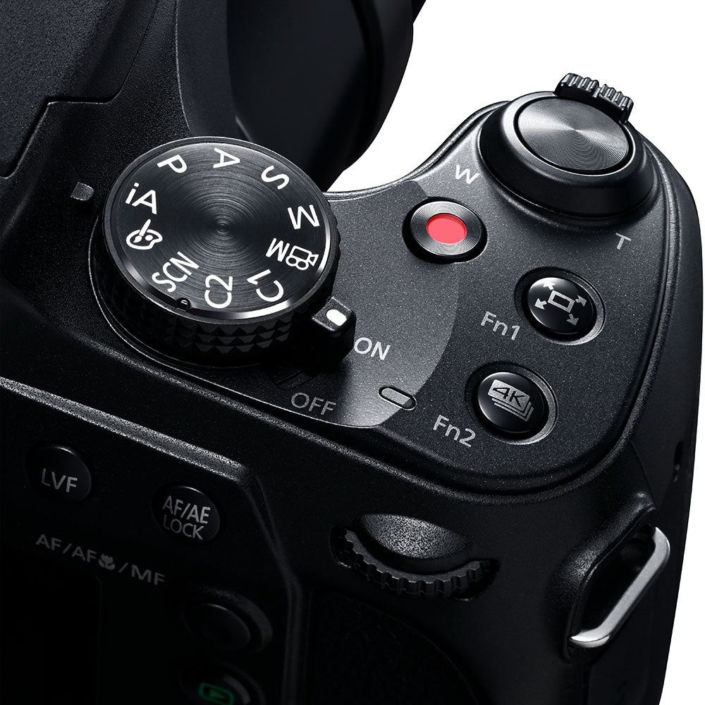 Panasonic Lumix FZ82D - Bridge Camera