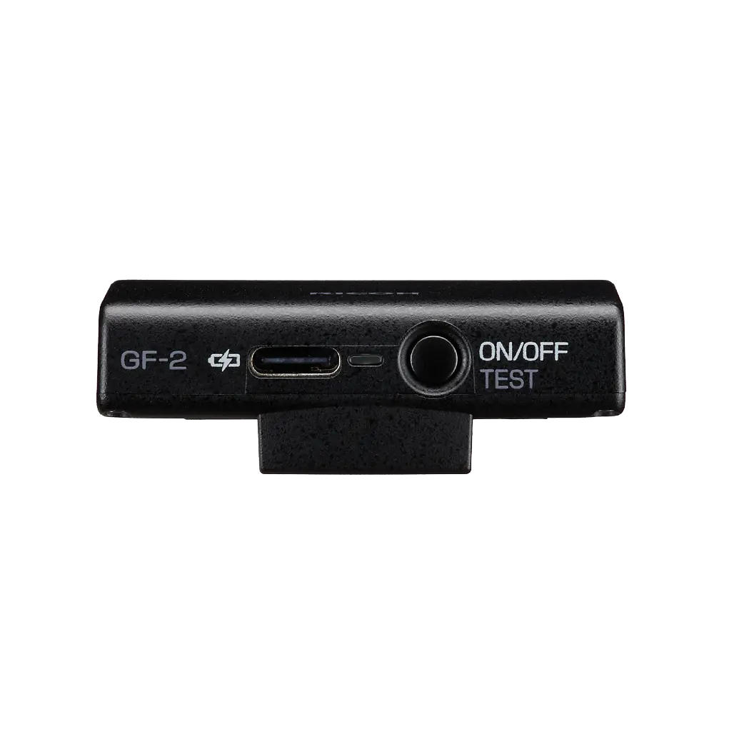 Ricoh GF-2 Flash