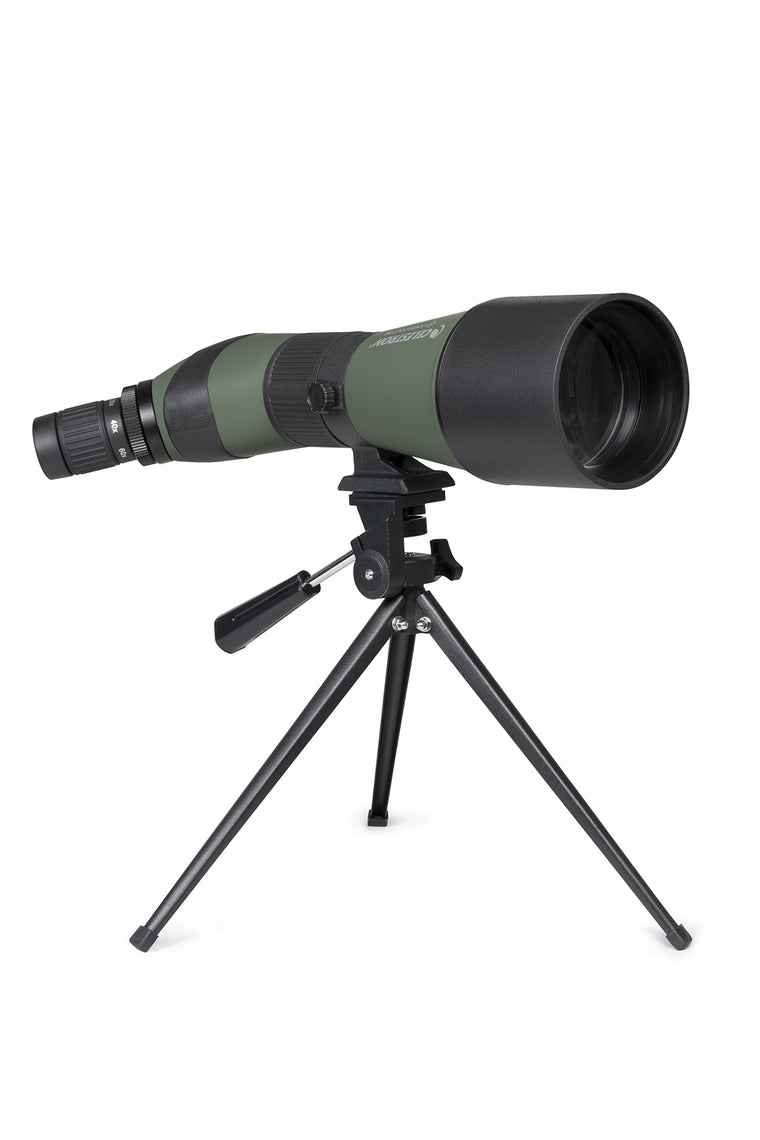 Celestron LandScout 20-60x80 Angled Spotting Scope & Digiscope Kit