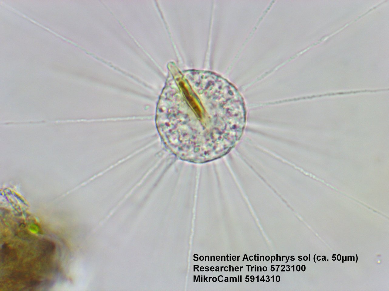 Bresser Researcher Trino 40-1000x Microscope