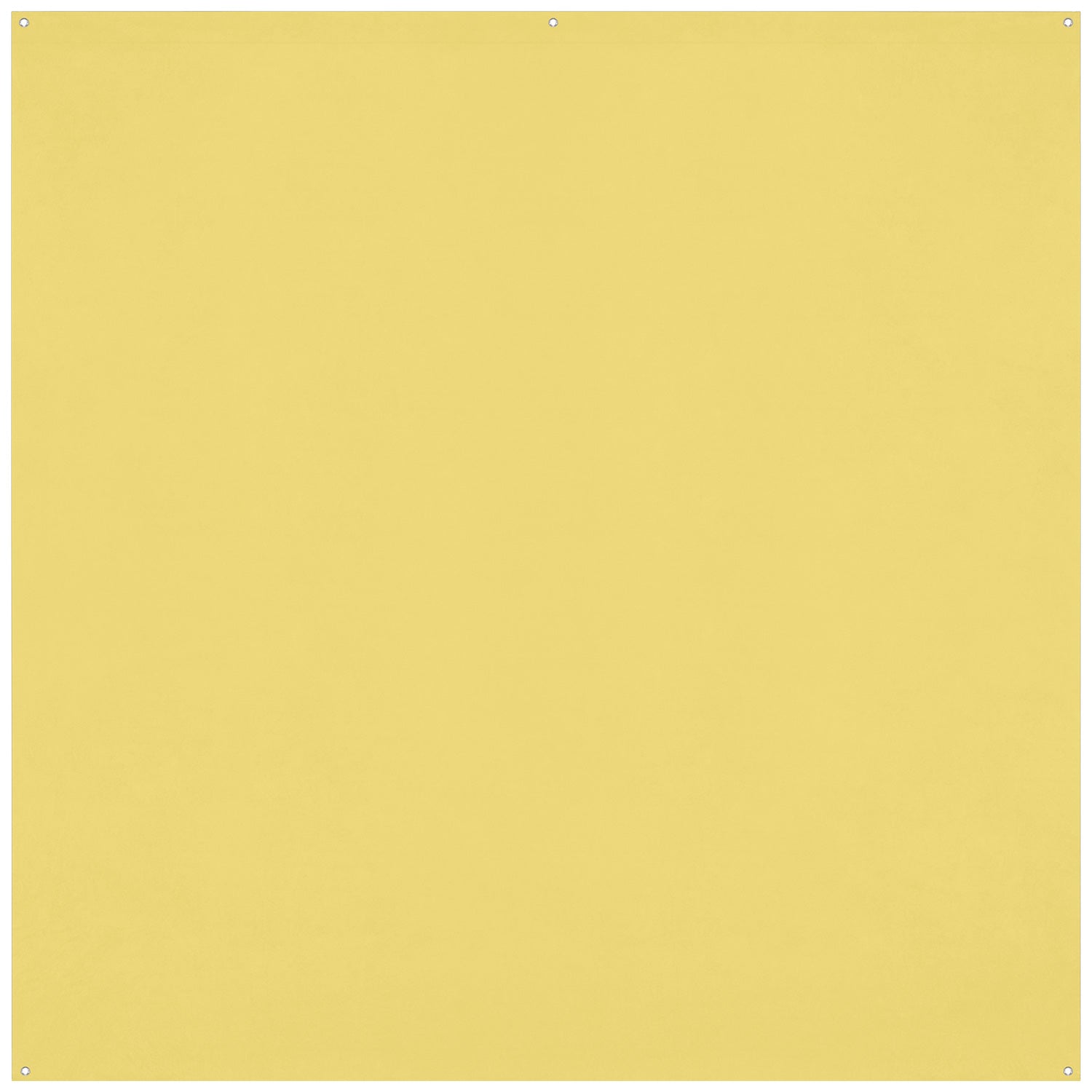 Westcott X-Drop Pro Wrinkle-Resistant Backdrop - (8' x 8')