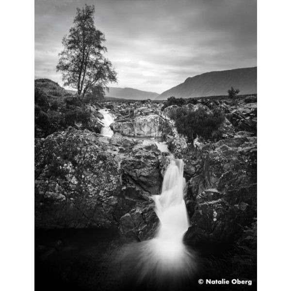 Ilford Ortho Plus 80 B&W Black and White Film - 36 Exposures